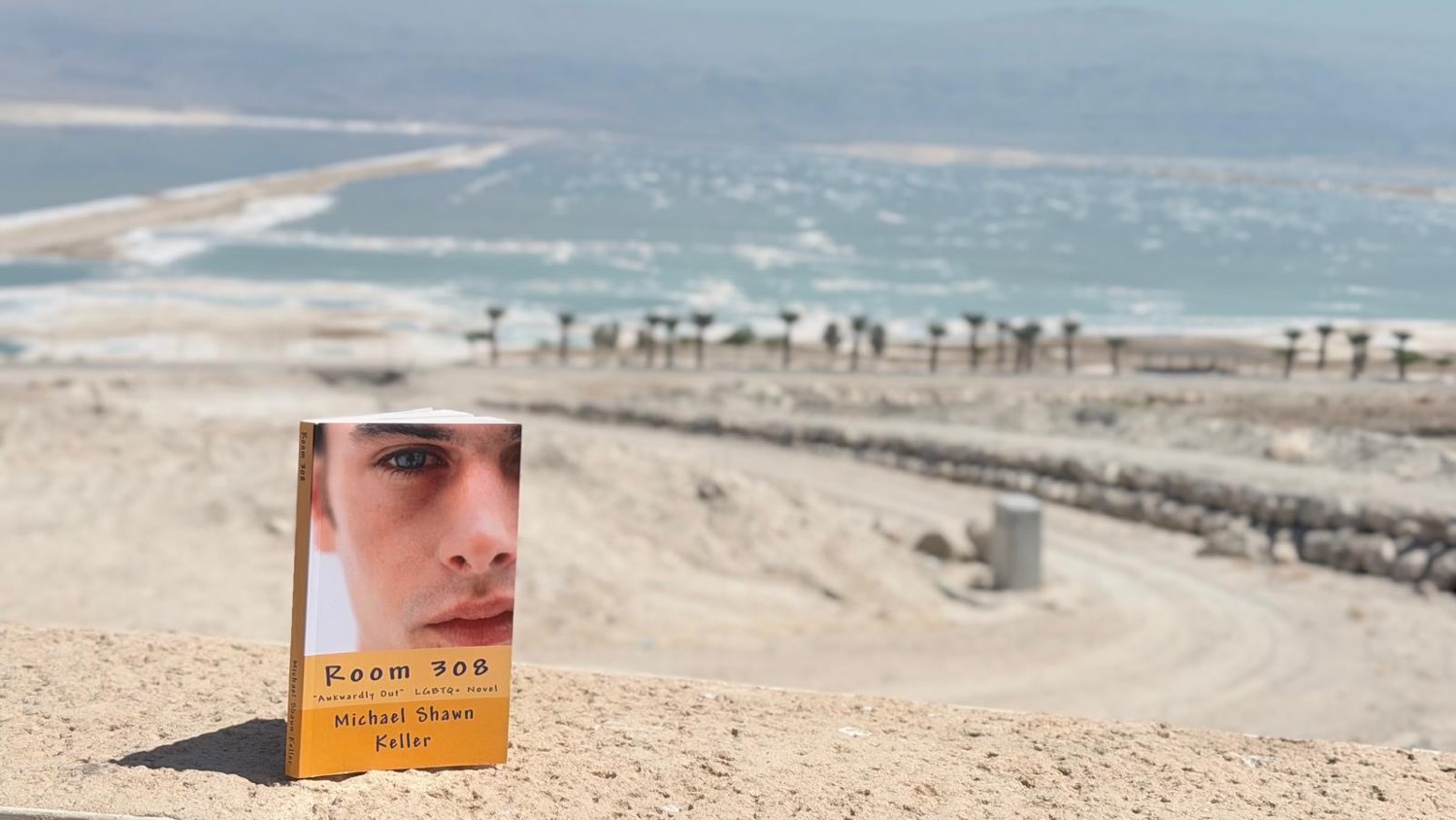 Ejemplar firmado de Room 308 en una saliente del Mar Muerto